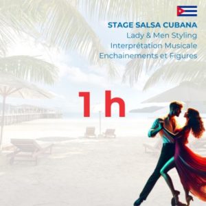 Stage 1h